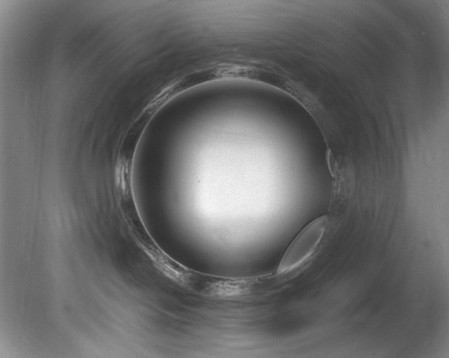 X0000082170094200701191318