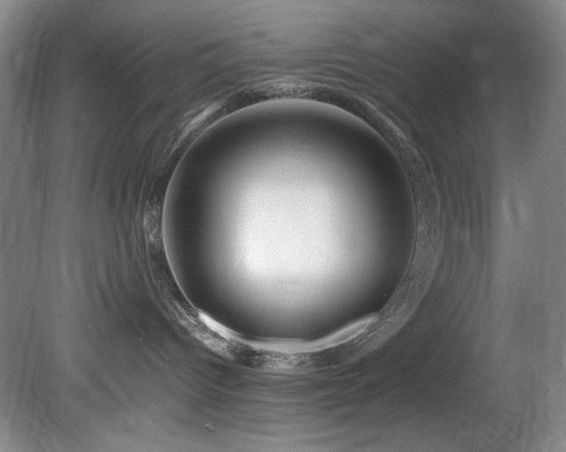 X0000082170096200701191319