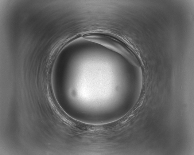 X0000082170097200701191318