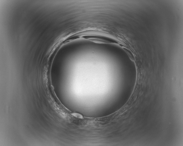 X0000082170098200701191318