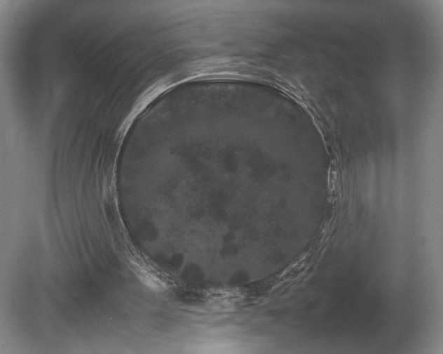 X0000082170099200701191318