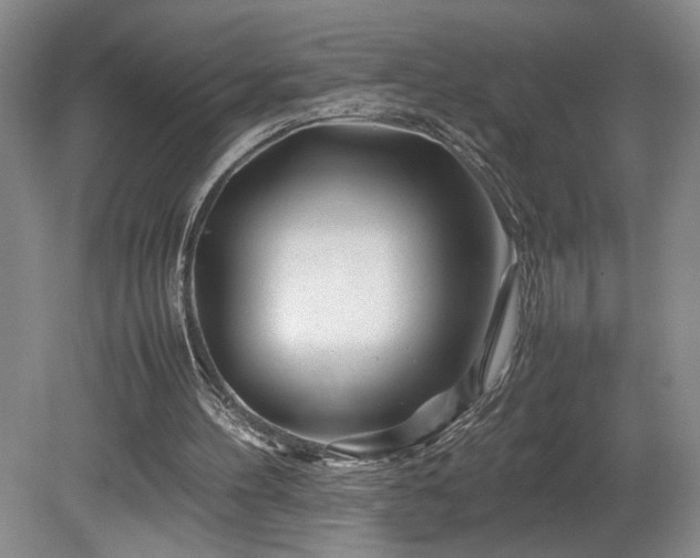 X0000082170100200701191318