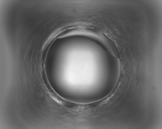 X0000082170101200701191318