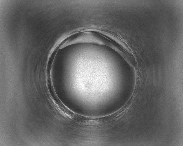 X0000082170102200701191318