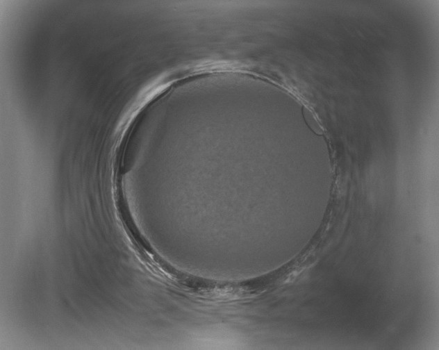 X0000082170103200701191318