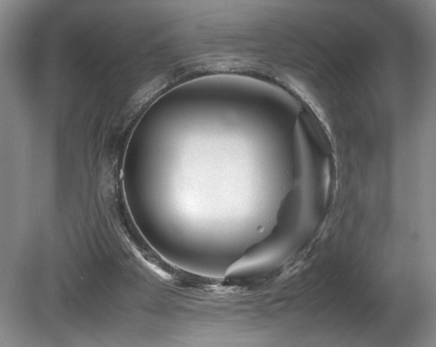 X0000082170105200701191318