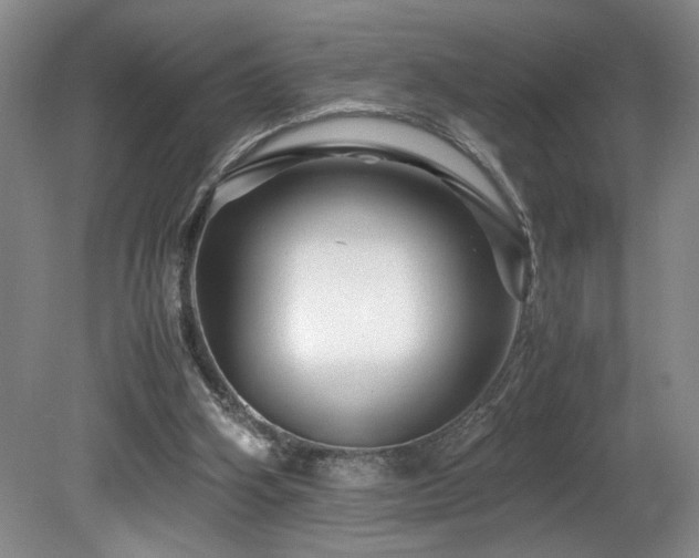 X0000082170106200701191318