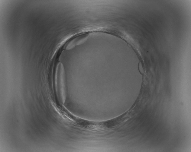 X0000082170107200701191318