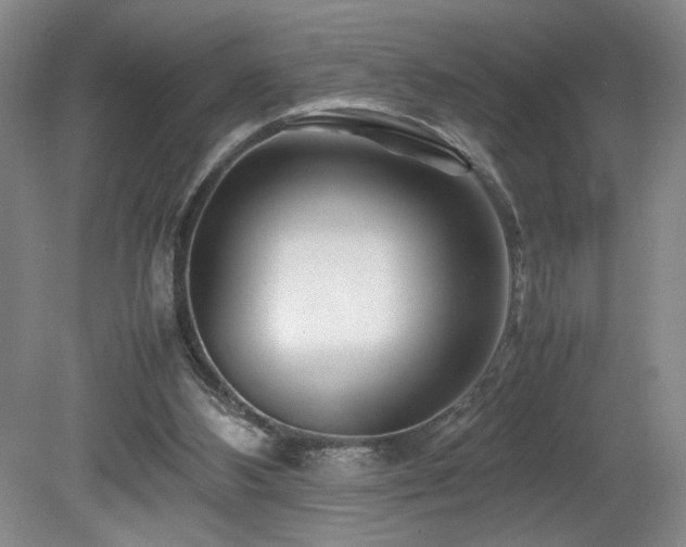 X0000082170108200701191318