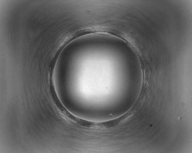 X0000082170109200701191318