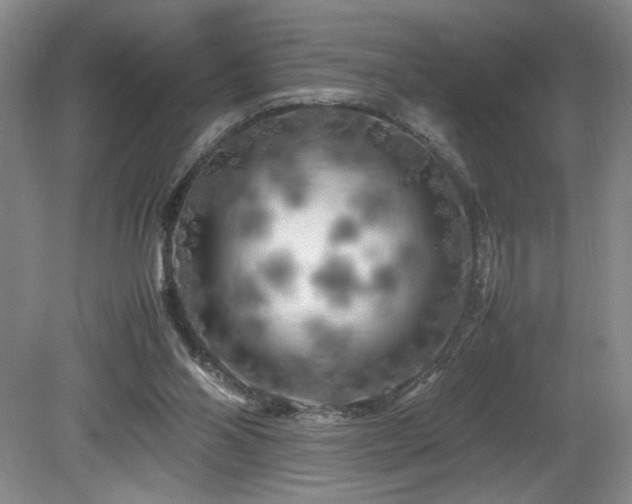 X0000082170110200701191317