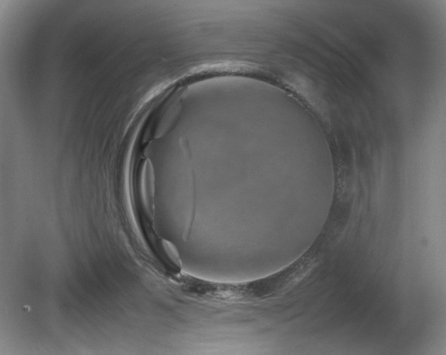 X0000082170111200701191317