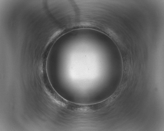 X0000082170112200701191317