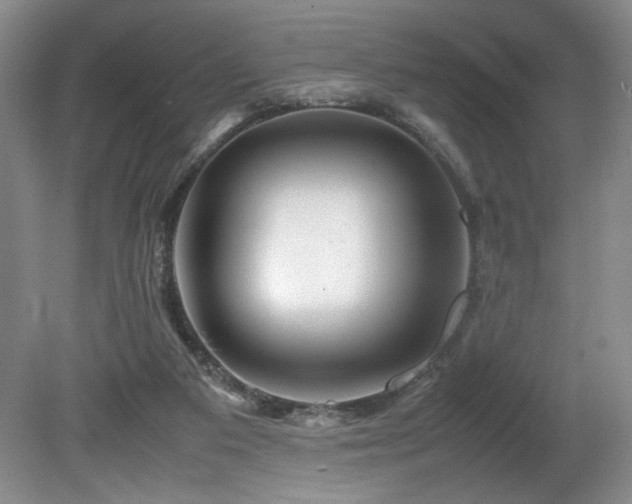 X0000082170113200701191317