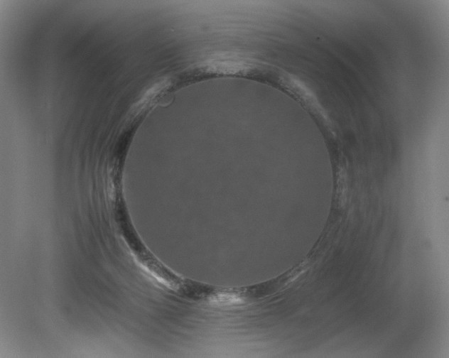 X0000082170114200701191317