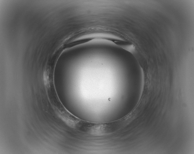 X0000082170116200701191317