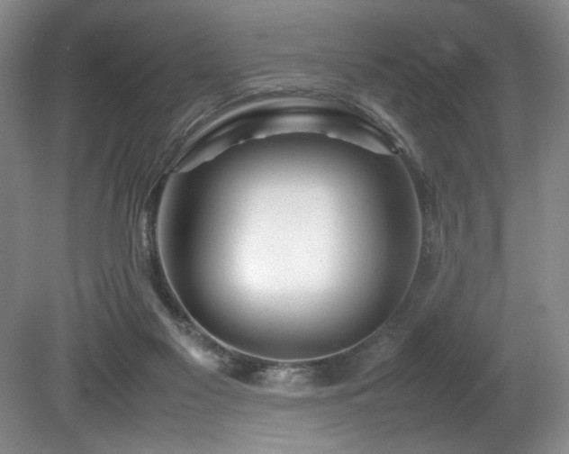 X0000082170117200701191317