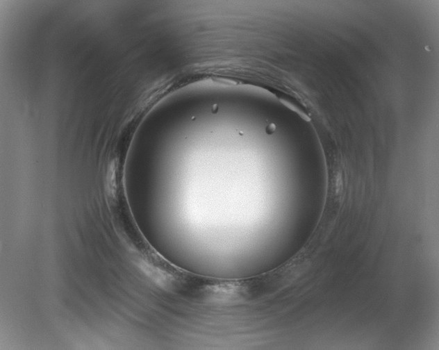 X0000082170118200701191317