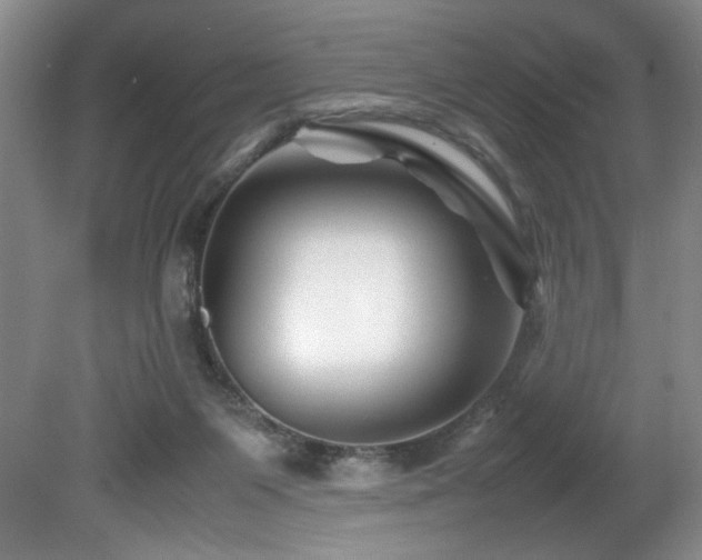 X0000082170119200701191317