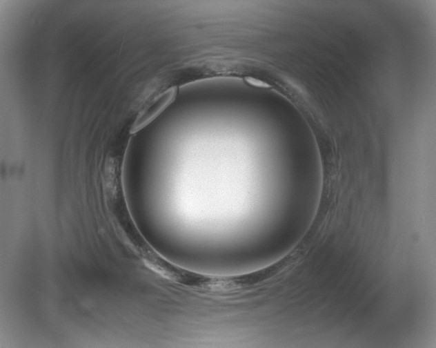 X0000082170121200701191317