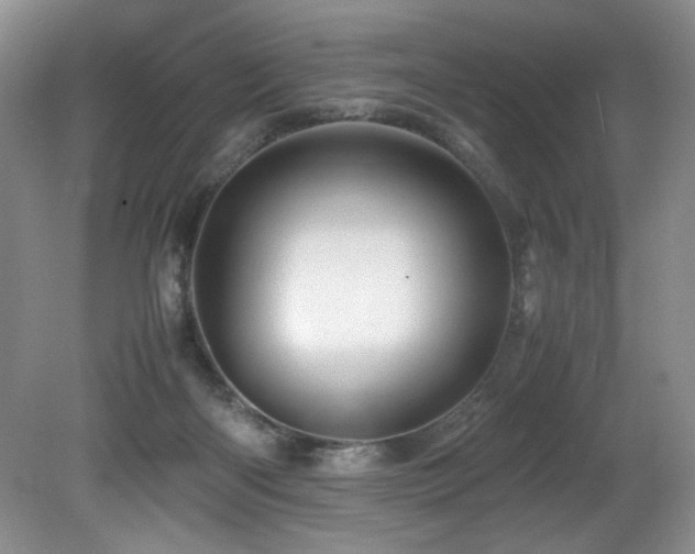 X0000082170122200701191317