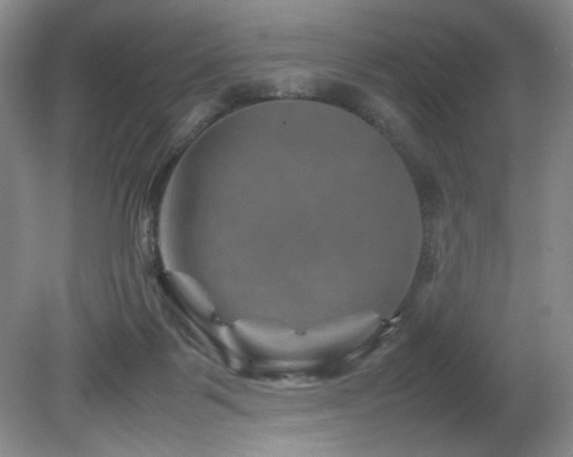 X0000082170123200701191317