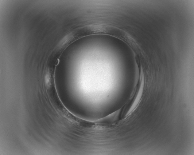 X0000082170124200701191317