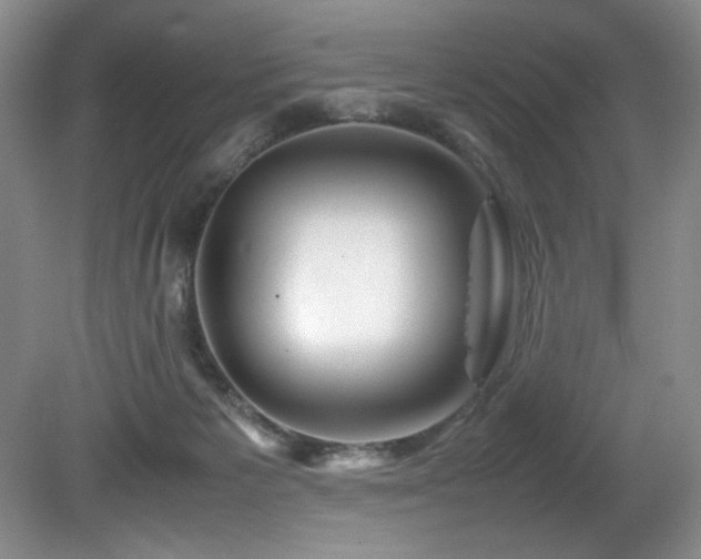 X0000082170125200701191317