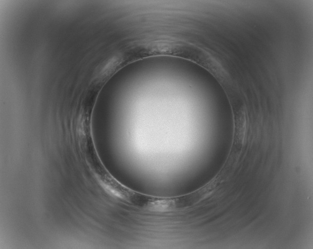 X0000082170126200701191317