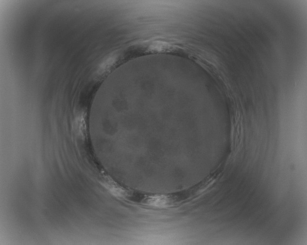 X0000082170127200701191317