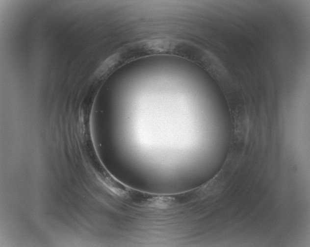 X0000082170128200701191317