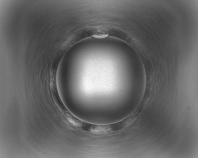 X0000082170129200701191317