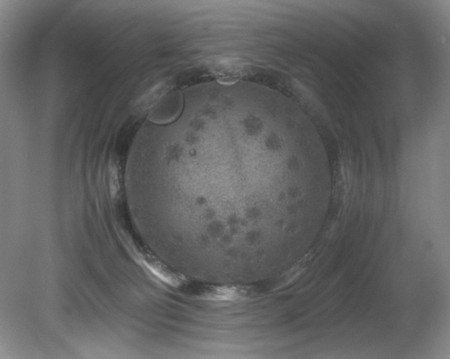 X0000082170130200701191317