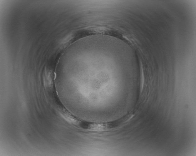 X0000082170131200701191317