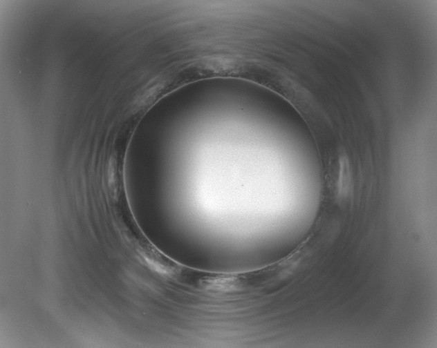 X0000082170132200701191317