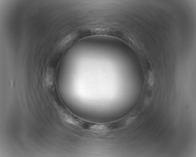 X0000082170133200701191317