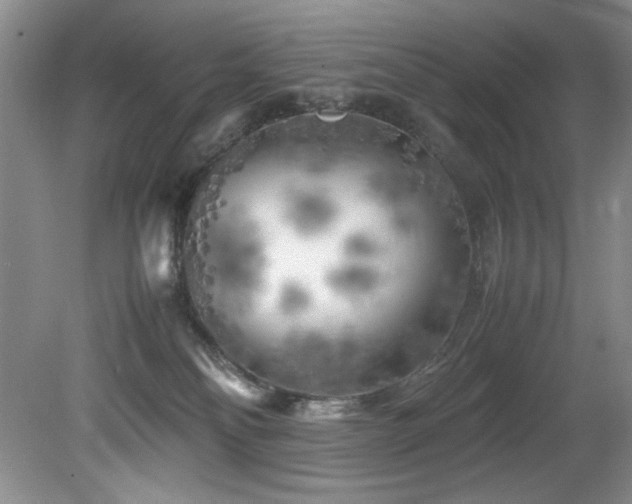 X0000082170134200701191317