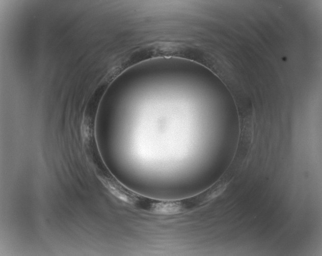 X0000082170135200701191317