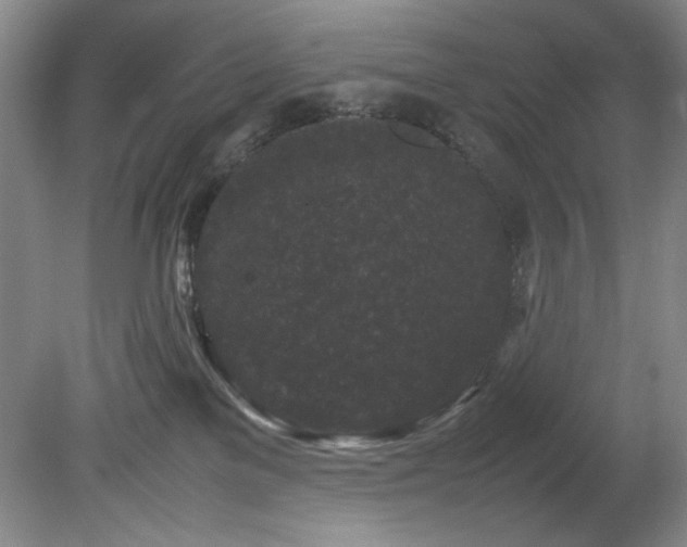 X0000082170137200701191317