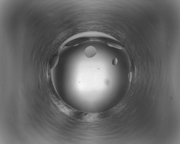 X0000082170138200701191317