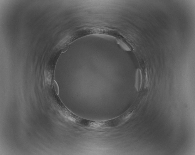 X0000082170139200701191317