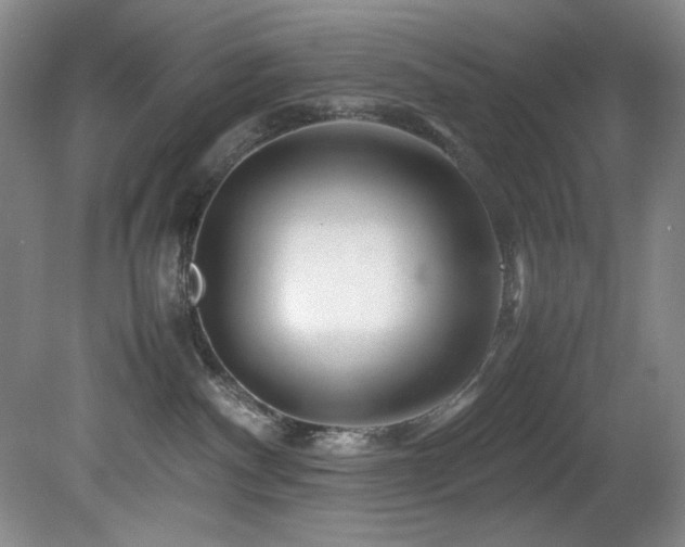 X0000082170140200701191317