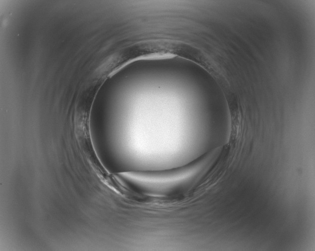 X0000082170141200701191317