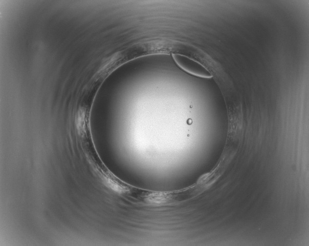 X0000082170142200701191317