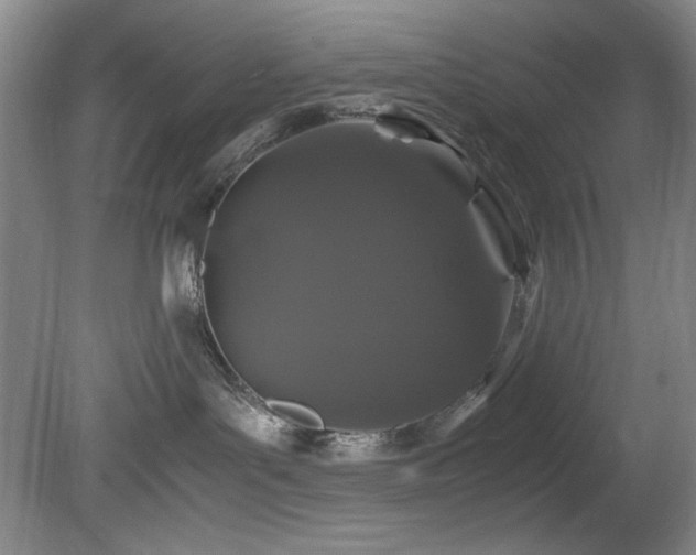 X0000082170143200701191317