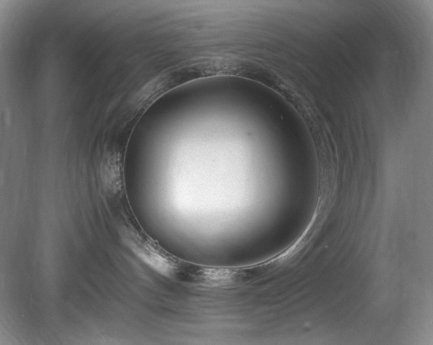 X0000082170144200701191317