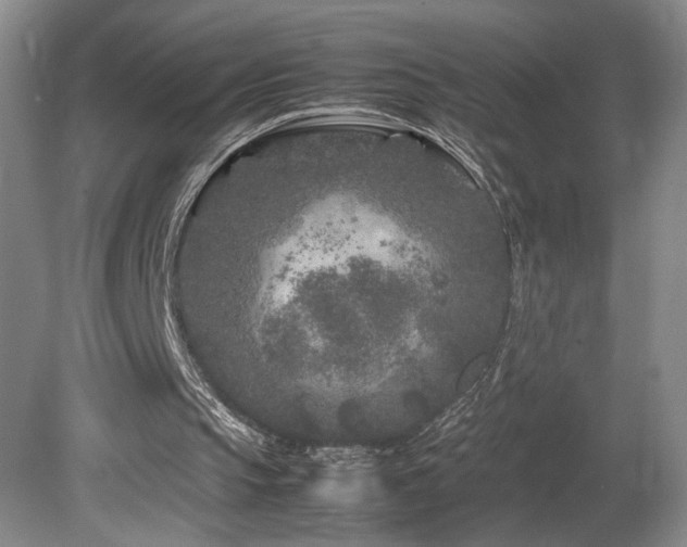 X0000082170145200701191316