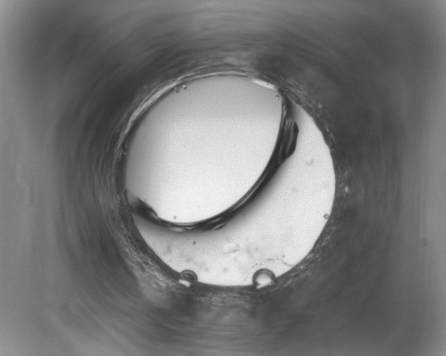 X0000082170146200701191316