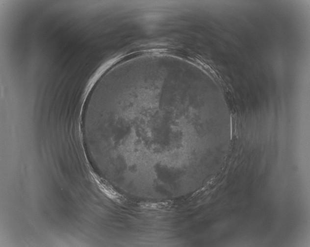 X0000082170147200701191316