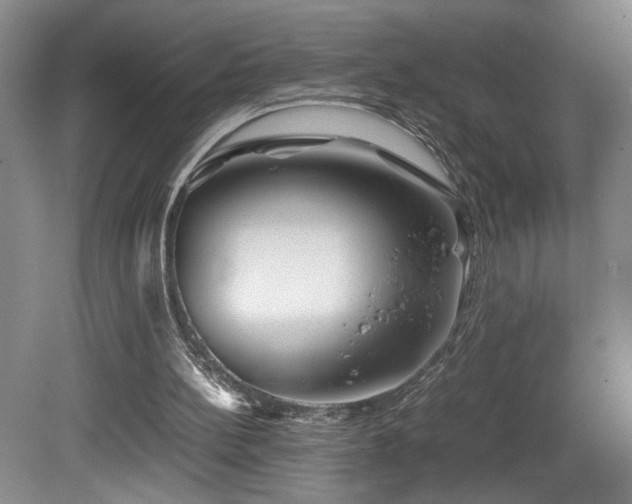 X0000082170148200701191316